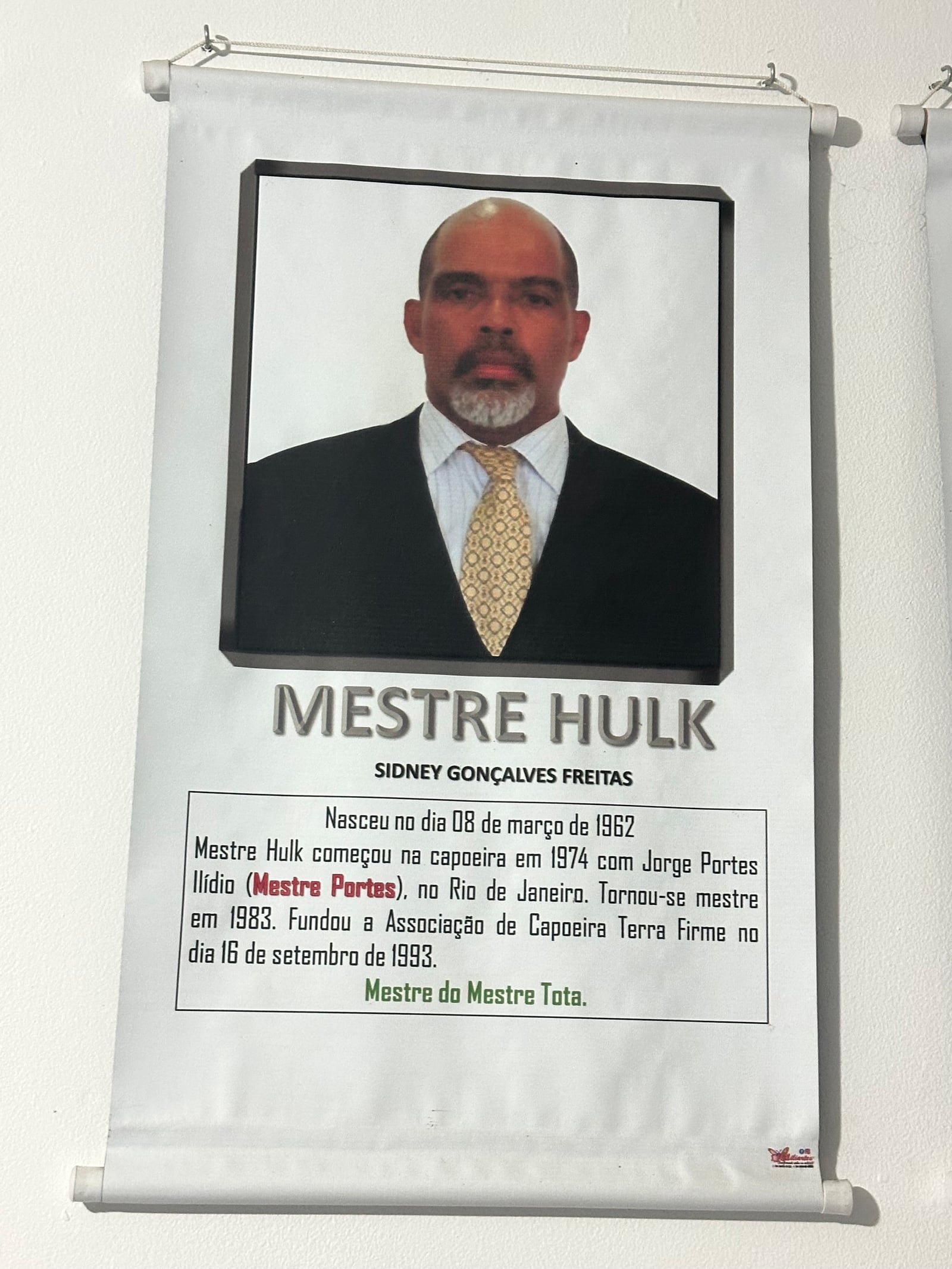 Painel de Mestre Hulk